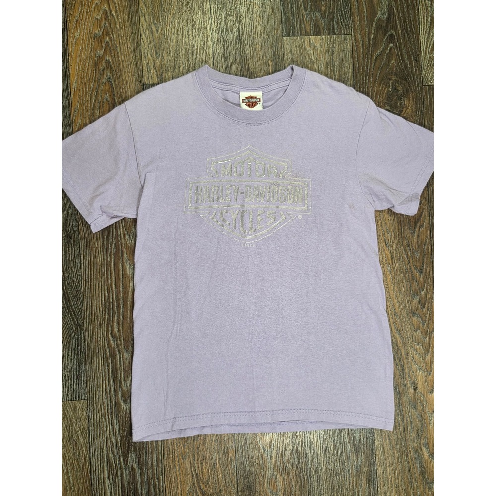 Harley-Davidson Womens Purple Smoky Mountain Graphic T-Shirt Silver Foil Small